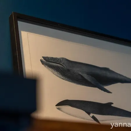 Yanna Lodge, Classe 4 Etoiles Avec Couvert Entierement